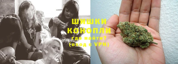 дмт Касимов