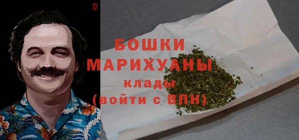 дмт Касимов