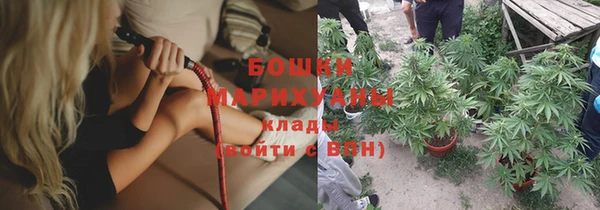 дмт Касимов