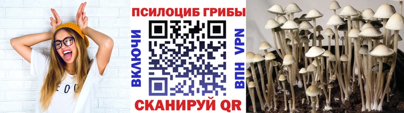 Купить  Пыть-Ях  Галлюциногенные грибы MAGIC MUSHROOMS 